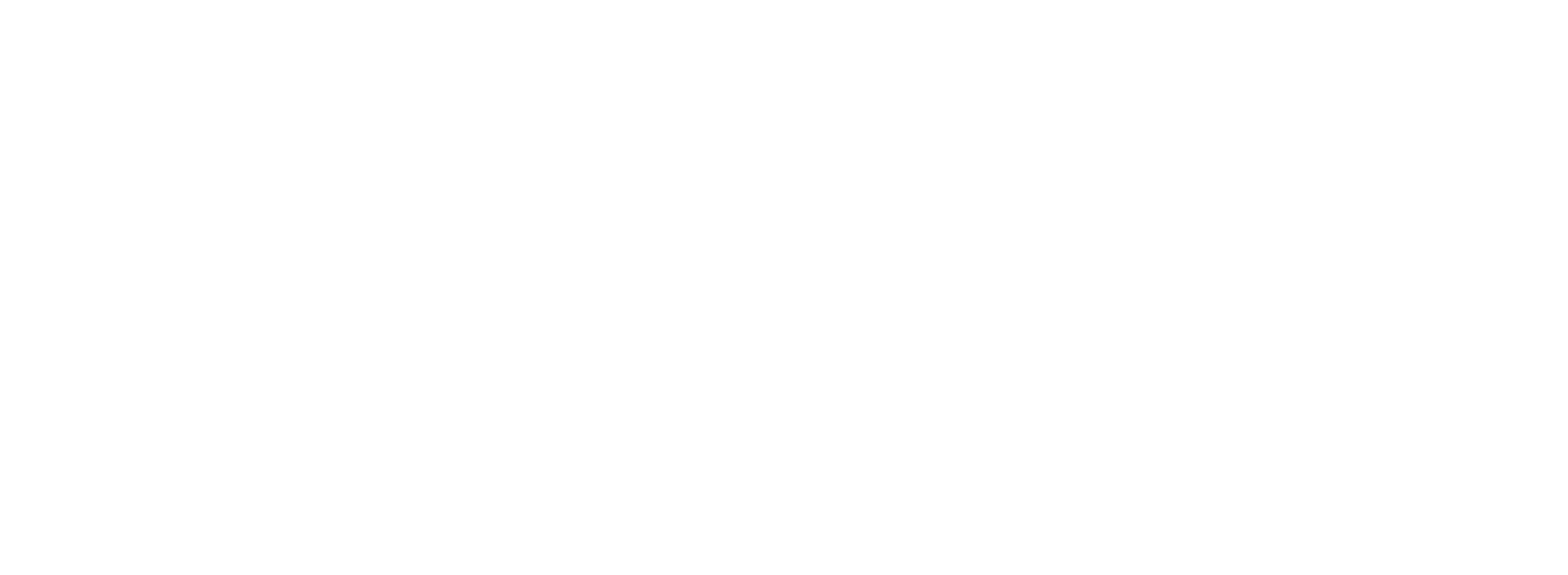 Logo-Veltix