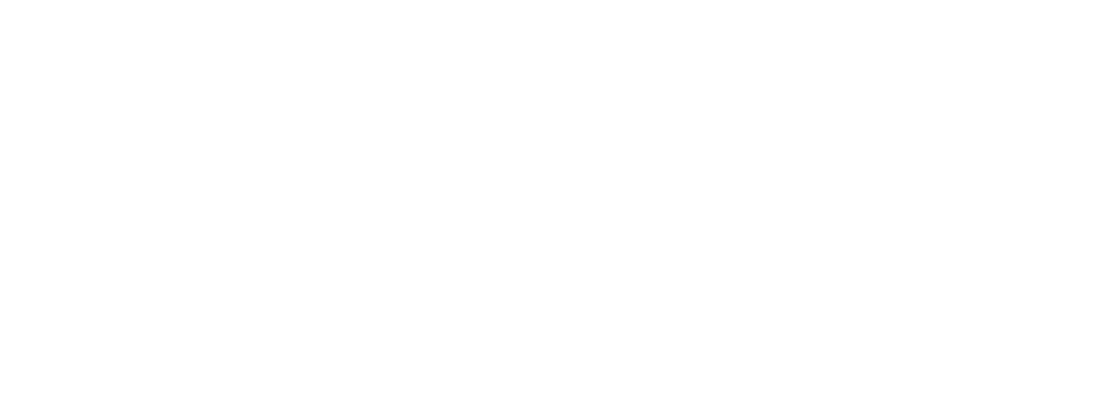 Logo Veltix